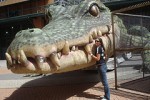 Tours in Rio - Crocodile Carnival Float