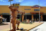 Tours in Rio - Samba City