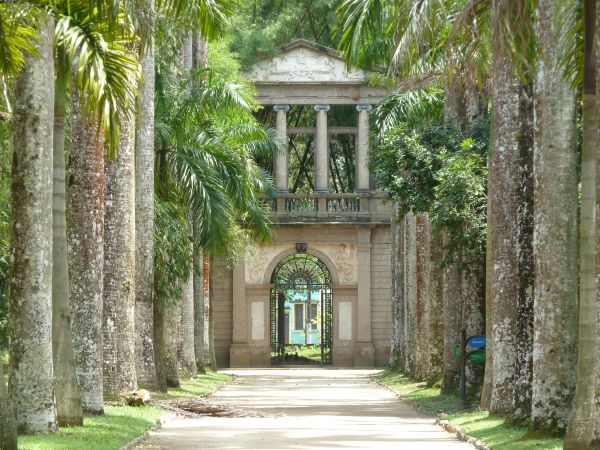 Rio de Janeiro Botanical Garden — private walking tour